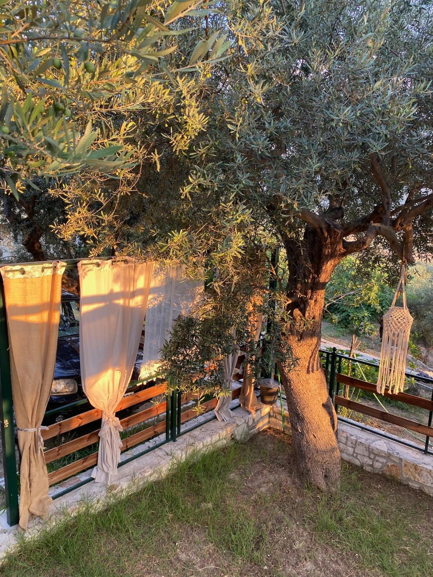 Vila Liodentro - Olea Plataria Exteriér fotografie