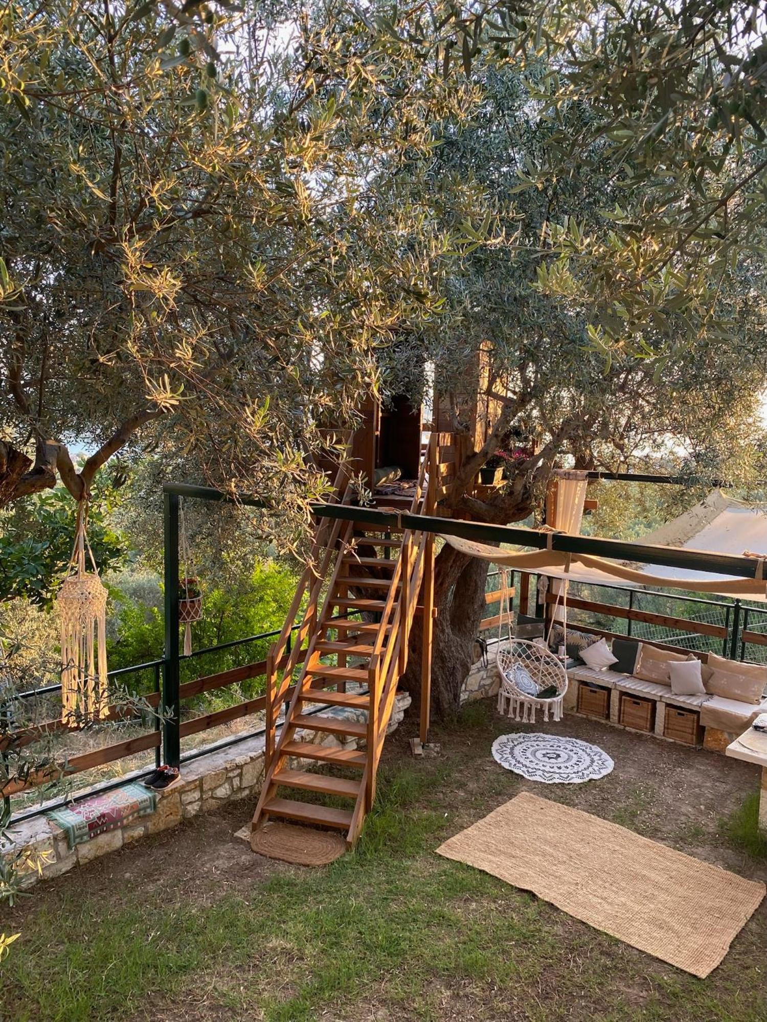Vila Liodentro - Olea Plataria Exteriér fotografie