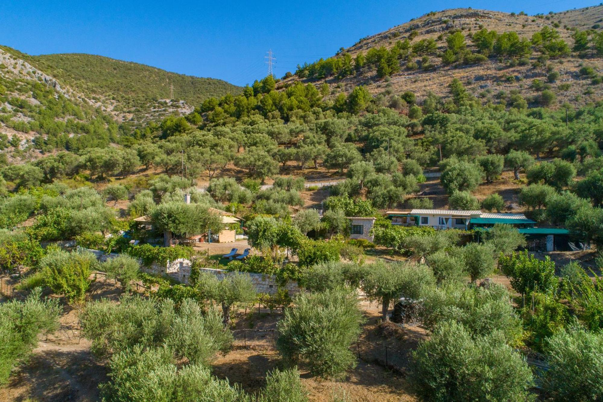 Vila Liodentro - Olea Plataria Exteriér fotografie