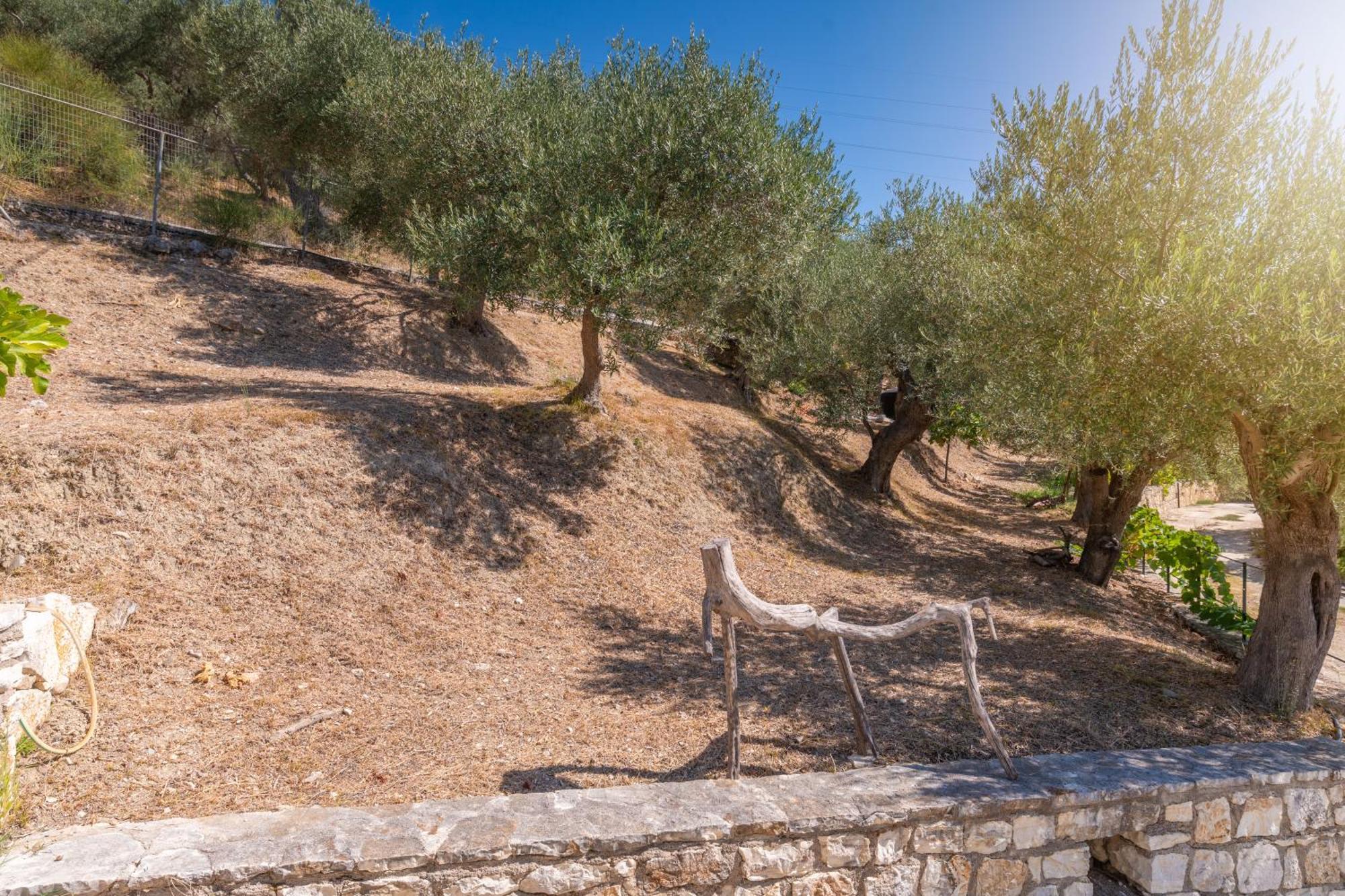Vila Liodentro - Olea Plataria Exteriér fotografie