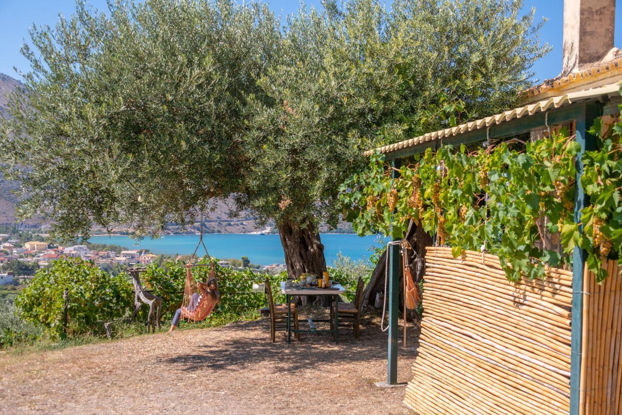 Vila Liodentro - Olea Plataria Exteriér fotografie