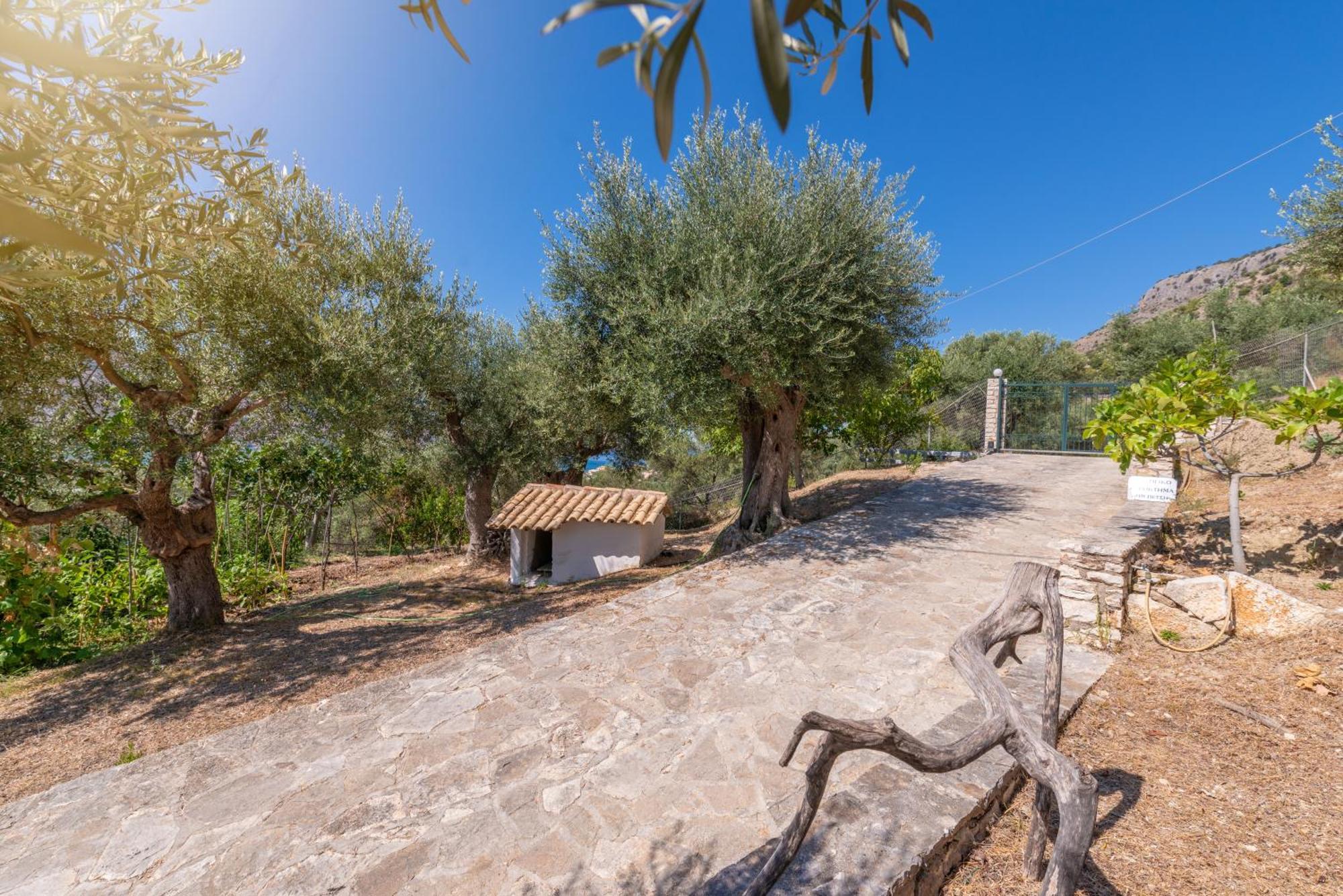 Vila Liodentro - Olea Plataria Exteriér fotografie