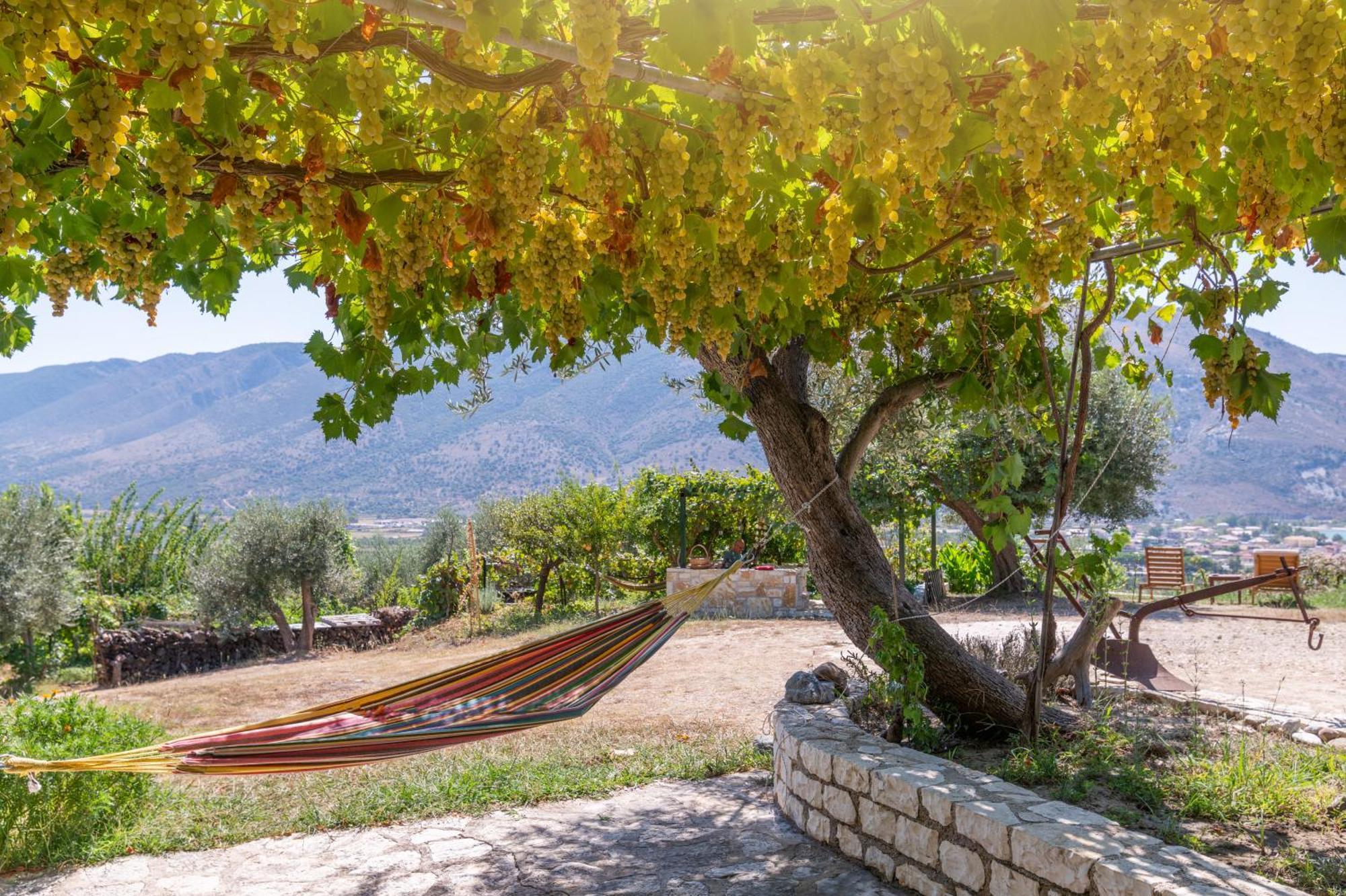 Vila Liodentro - Olea Plataria Exteriér fotografie