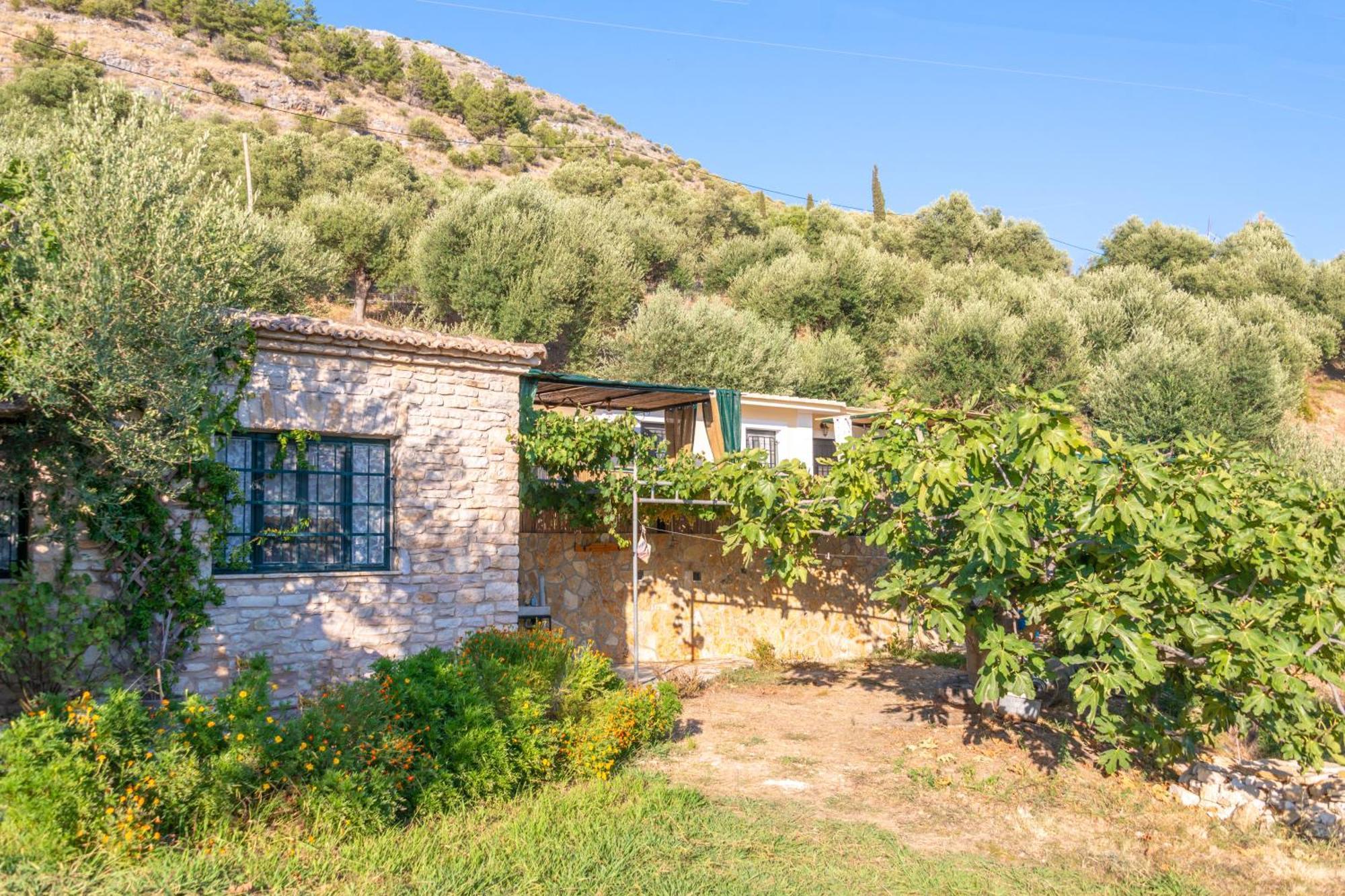 Vila Liodentro - Olea Plataria Exteriér fotografie