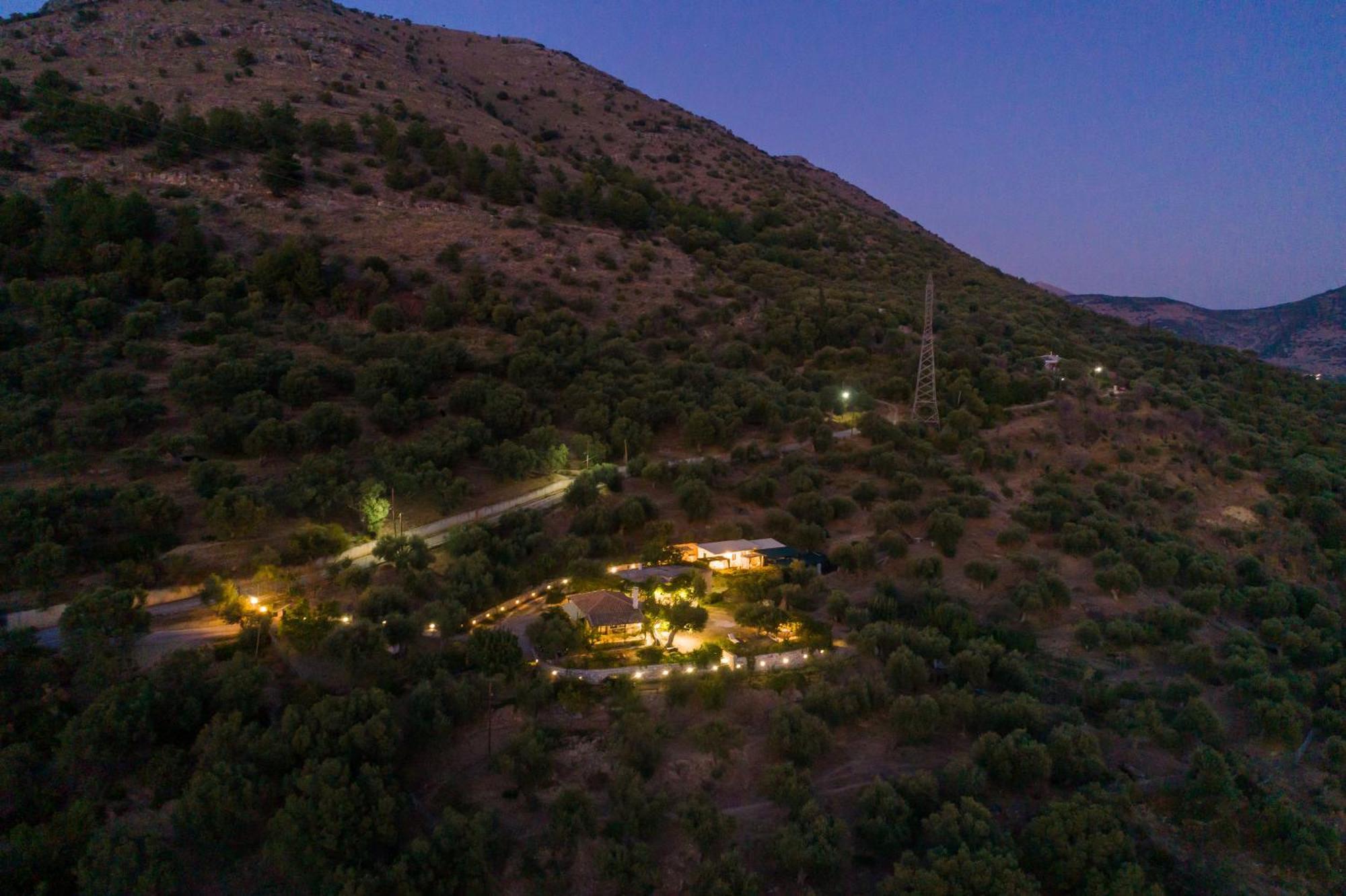 Vila Liodentro - Olea Plataria Exteriér fotografie